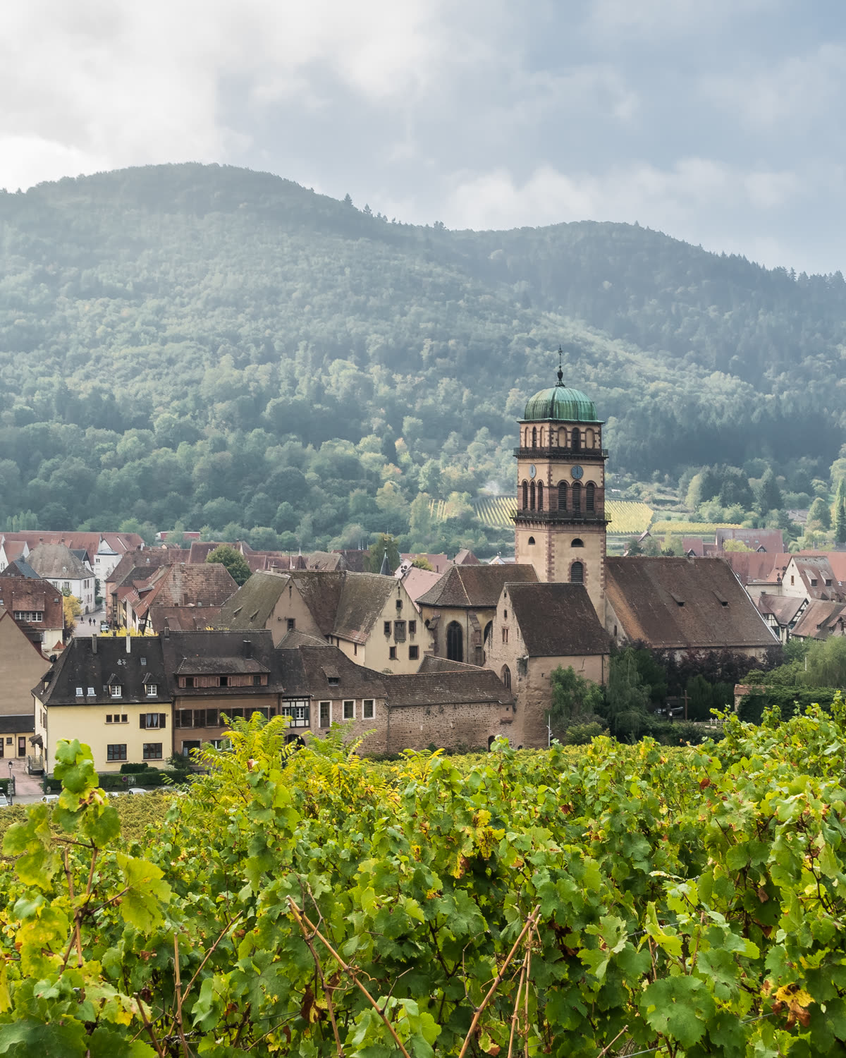Le vignoble en terrasses et le village de Kaysersberg, sur la route des vins